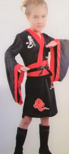 Kids Costumes to Hire - Ninja Girl Dress